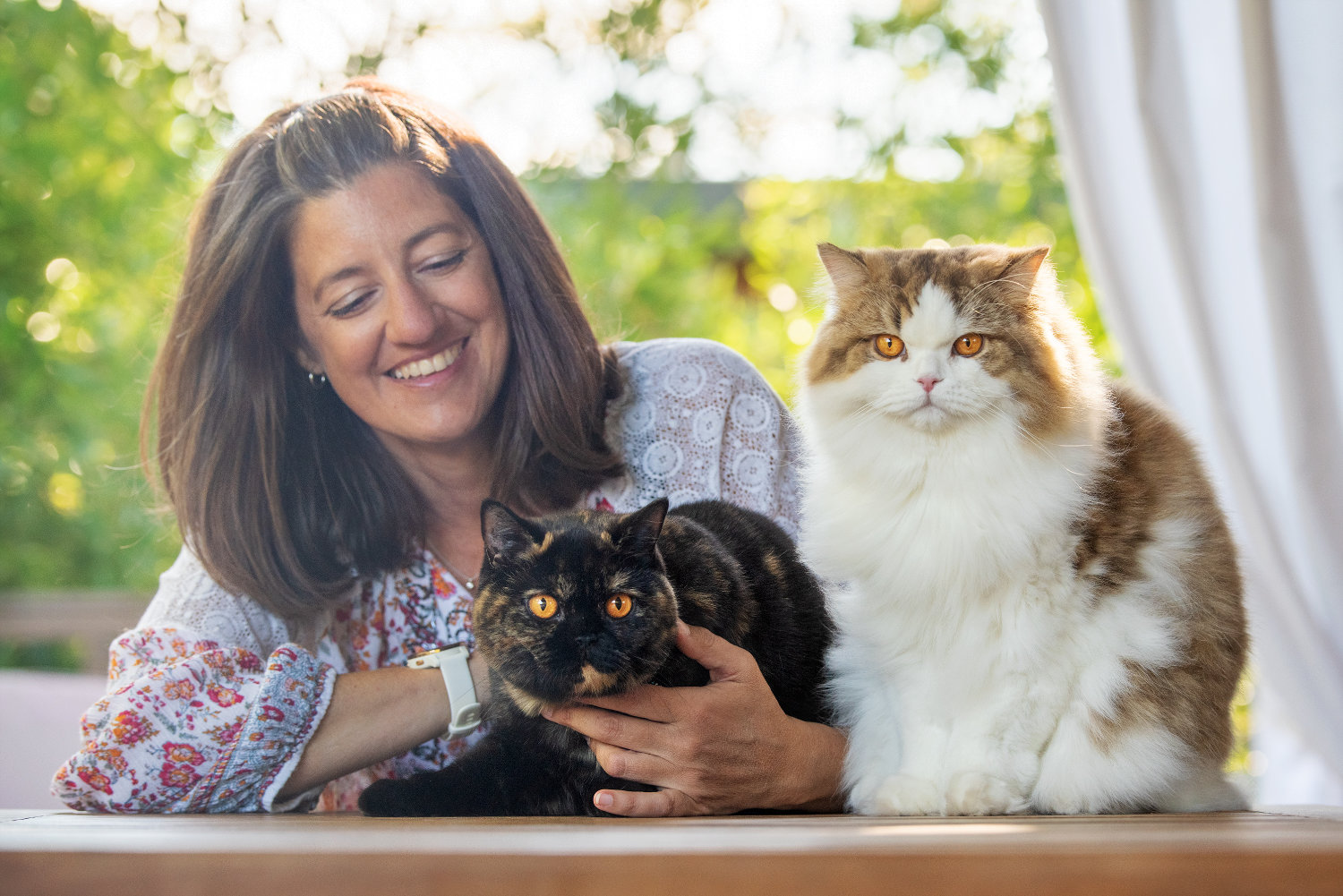 à propos de terrefeline