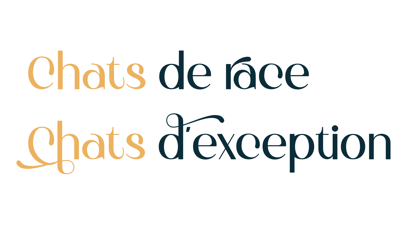 Chats de race